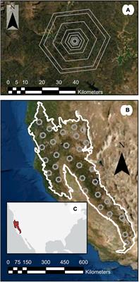 Examining k-Nearest Neighbor Small Area Estimation Across Scales Using National Forest Inventory Data